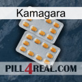 Kamagara cialis4